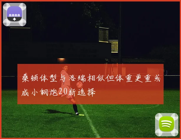 桑顿体型与洛瑞相似但体重更重或成小钢炮20新选择