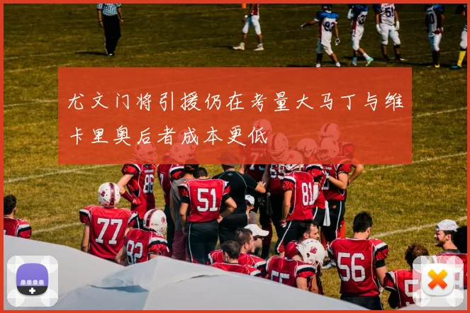 尤文门将引援仍在考量大马丁与维卡里奥后者成本更低